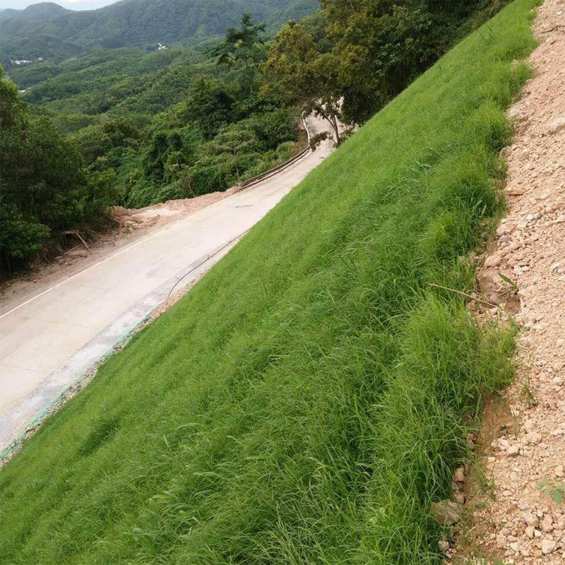 草、灌木、花混播边坡绿化植草技术方案
