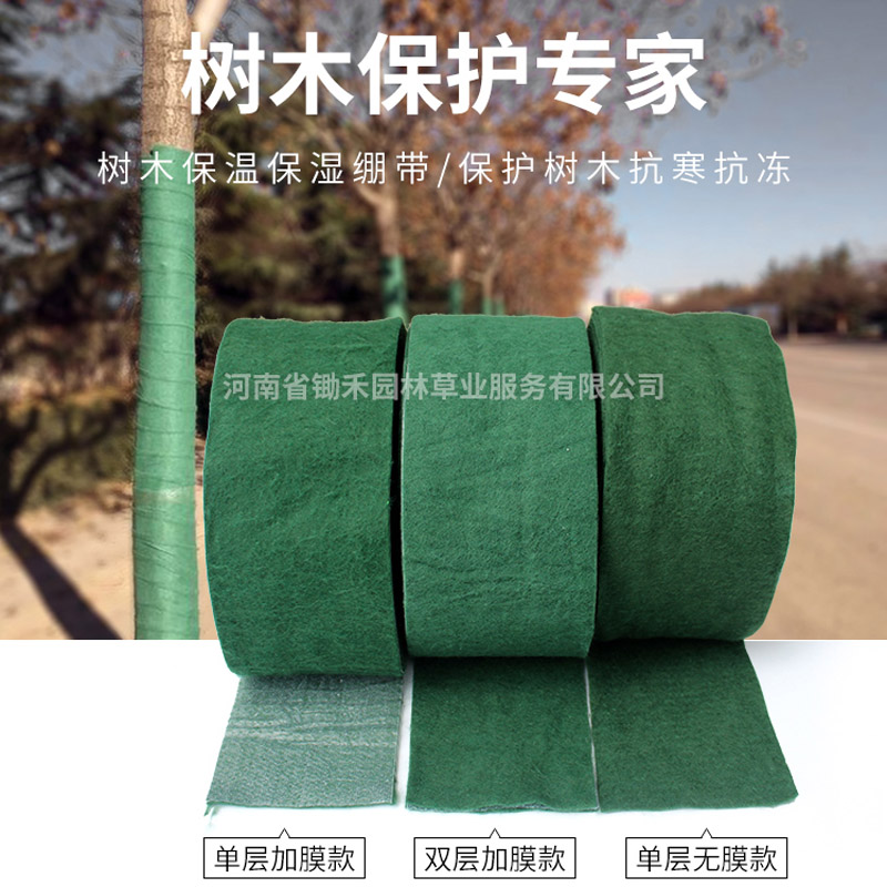 活动.jpg